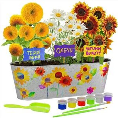 Vindue Gennem Plant Kit