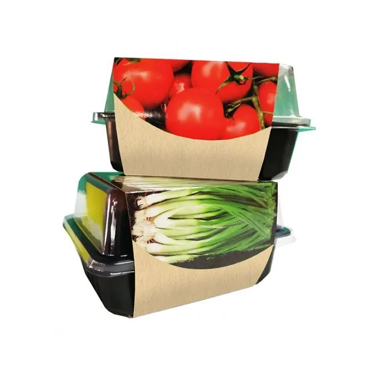 Grow Kit i Mini Drivhus